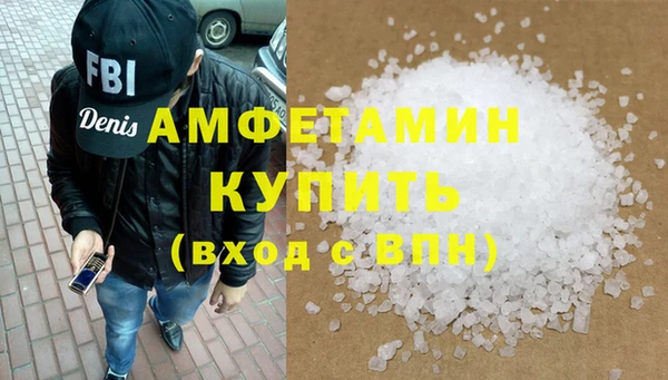 прущие грибы Снежногорск